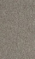 VORWERK%20Teppich%20Passion%201091%20Metro%205Z21%20Room%20Up.JPG