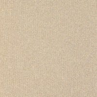 Master 37 ITC - Teppichboden Schlinge