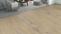 Vorschau: HARO%20WaveAqua%20LHD%20XL%204V%20Eiche%20Whistler%20kieselgrau%20548213%20Raumbild%20Room%20up.JPG