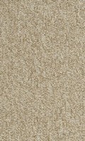 VORWERK%20Teppich%20Passion%201005%20Rondo%205K59%20Room%20Up.JPG