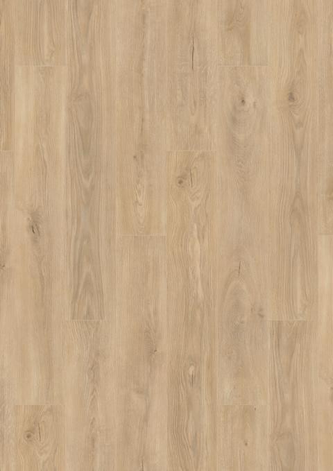 KRONO%20Atlantic%208%20Tortilla%20Cashmere%20Oak%20K469%20Room%20Up.JPG