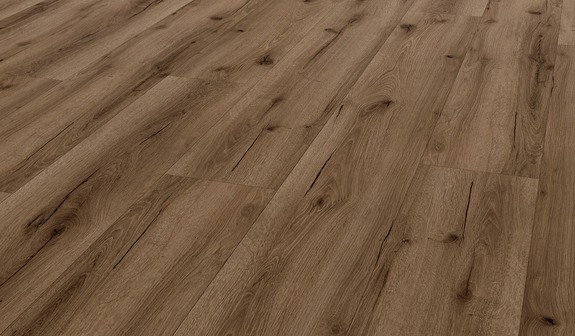 TER%20HÜRNE%20Soya%20Design%20Vinylboden%201%20Wood%20Edition%20Perform%20Lange%20LHD%20Eiche%20Cairo%201101240412%20Room%20Up%20Perspektive.jpg