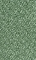 VORWERK%20Teppich%20Passion%201093%20Traffic%204H09.JPG