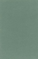 VORWERK%20Teppich%20Passion%201000%20Modena%204H12%20Room%20Up.JPG