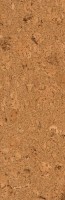 WICANDERS%20cork%20pure%20zum%20Kleben%20Shell%20Natural%20vorversiegelt%20AJ8E002%20Room%20Up.JPG