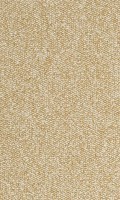 VORWERK%20Teppich%20Passion%201005%20Rondo%208K61%20Room%20Up.JPG