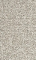 VORWERK%20Teppich%20Passion%201005%20Rondo%206C89%20Room%20Up.JPG