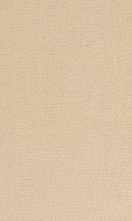 VORWERK%20Teppich%20Passion%201021%20Bingo%208K65%20Room%20Up.JPG