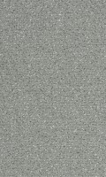 VORWERK%20Teppich%20Passion%201006%20Alexis%205Z16%20Room%20Up.JPG