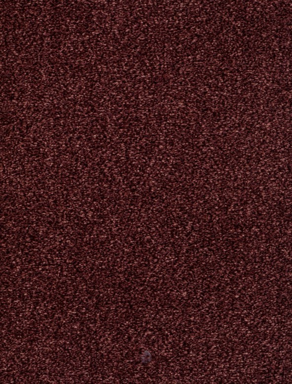 JOKA%20Trend%20026%20%20Derby%20Farbe%2066%205m%20Breite%20Room%20up.jpg JOKA%20Trend%20026%20%20Derby%20Farbe%2066%205m%20Breite%20Room%20up.jpg