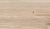 Vorschau: TER%20HÜRNE%20Soya%20Design%20Vinylboden%201%20Wood%20Edition%20Pro%20Lange%20LHD%20Pinie%20Bergen%201101210421%20Room%20Up%20Detail.jpg