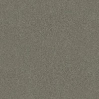 VORWERK%20Teppich%20Exclusive%201066%20Romance%204G93%20Room%20Up.JPG