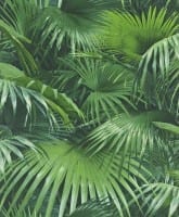 Vorschau: Palmen Grün - Rasch Vlies-Tapete Fototapete