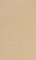 VORWERK%20Teppich%20Passion%201021%20Bingo%208K64%20Room%20Up.JPG