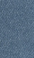 VORWERK%20Teppich%20Passion%201093%20Traffic%203R16.JPG