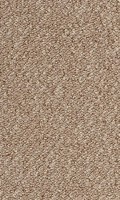 VORWERK%20Teppich%20Passion%201093%20Traffic%208K53.JPG