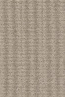 VORWERK%20Teppich%20Essential%201008%20Rustica%208J21%205m%20Room%20Up.JPG