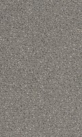 VORWERK%20Teppich%20Passion%201006%20Alexis%205Y86%20Room%20Up.JPG