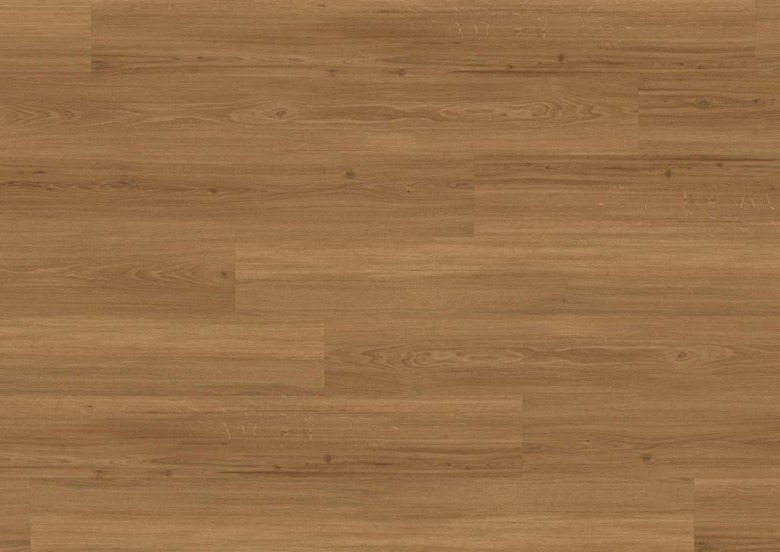JOKA%20Design%20555%20476P%20Incredible%20Classic%20Oak%20Room%20Up.JPG JOKA%20Design%20555%20476P%20Incredible%20Classic%20Oak%20Room%20Up.JPG