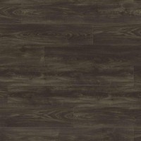 HARO%20WaveAqua%20LHD%20XL%204V%20Eiche%20Whistler%20basalt%20548215%20Room%20up.JPG
