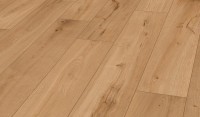 Vorschau: TER%20HÜRNE%20Avatara%20Classic%20Edition%20Perform%20Eiche%20Banta%201101250400%20Perspektive%20Room%20up.jpg