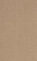 VORWERK%20Teppich%20Passion%201021%20Bingo%208K63%20Room%20Up.JPG
