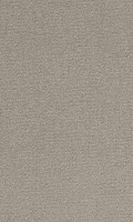 VORWERK%20Teppich%20Passion%201021%20Bingo%205Y92%20Room%20Up.JPG