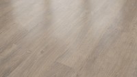 CLASSEN%20Spectrum%20Dynamic%20Narrow%20Eiche%20Grigio%20Room%20Up.jpg CLASSEN%20Spectrum%20Dynamic%20Narrow%20Eiche%20Grigio%20Room%20Up.jpg