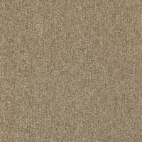 Master 36 ITC - Teppichboden Schlinge