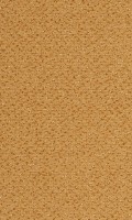 VORWERK%20Teppich%20Passion%201006%20Alexis%202F55%20Room%20Up.JPG