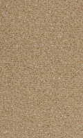 VORWERK%20Teppich%20Passion%201006%20Alexis%208K58%20Room%20Up.JPG
