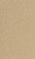 VORWERK%20Teppich%20Passion%201006%20Alexis%208K84%20Room%20Up.JPG