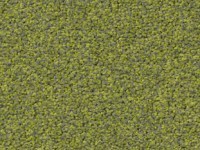 Vorwerk_Superior_1012_4G38_Web.jpg