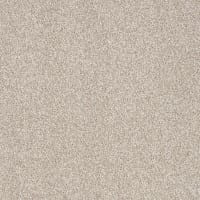 Optima SDE New 33 ITC - Teppichboden Velours