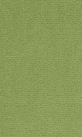 VORWERK%20Teppich%20Passion%201021%20Bingo%204H17%20%20Room%20Up.JPG