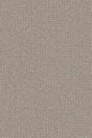 VORWERK%20Teppich%20Essential%201008%20Rustica%208J20%204m%20Room%20Up.JPG