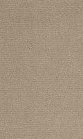 VORWERK%20Teppich%20Passion%201021%20Bingo%208K62%20Room%20Up.JPG