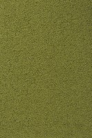 Vorwerk%20Exclusive%201009%204E65.JPG