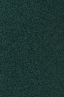 Vorwerk%20Exclusive%201009%204F73.JPG