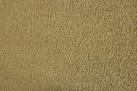 Vorschau: Satino Pissarro 52 ITC - Teppichboden Velours