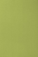Vorwerk_Passion_1000_4D61.jpg
