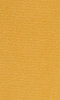 VORWERK%20Teppich%20Passion%201021%20Bingo%202F57%20Room%20Up.JPG