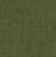 VORWERK%20Teppich%20Superior%201064%20Lyrica%204G76%204m%20Breite%20Room%20Up.JPG