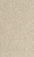 VORWERK%20Teppich%20Passion%201005%20Rondo%208K60%20Room%20Up.JPG