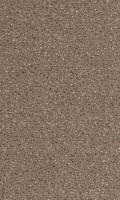 VORWERK%20Teppich%20Passion%201006%20Alexis%207G96%20Room%20Up.JPG