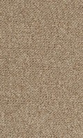 VORWERK%20Teppich%20Passion%201091%20Metro%207H04%20%20Room%20Up.JPG